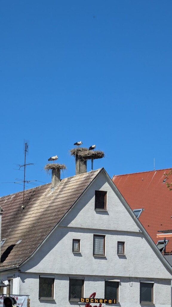 Haus mit Storchennest auf dem Dach