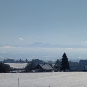 Blick ueber die verschneite Landschaft bis zu den Alpen