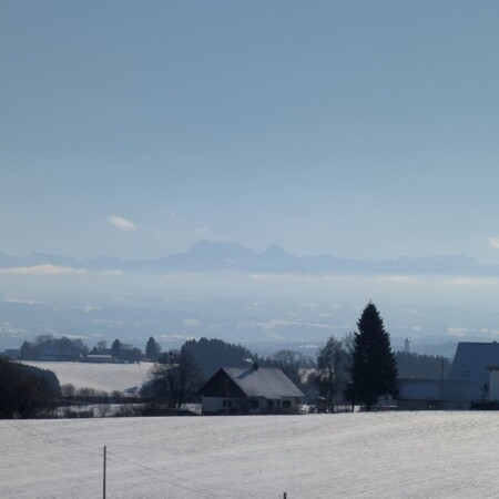 Schlittenberg am Waldcafé Bad Grönenbach: rodeln mit Alpenblick und Einkehr