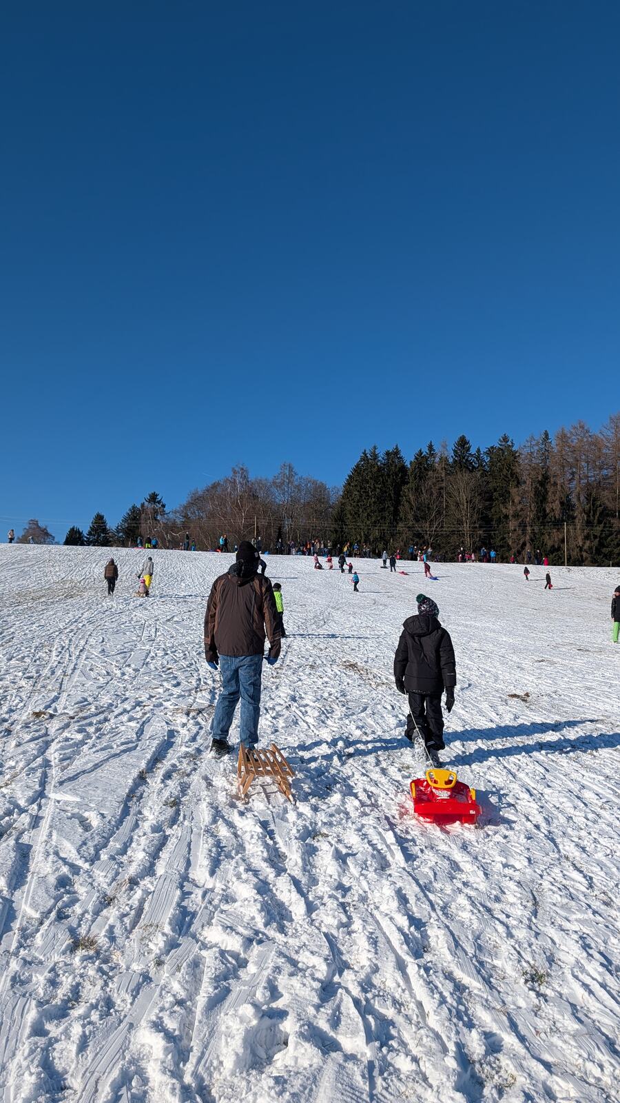 Familie zieht den Schlitten den Hang hinauf
