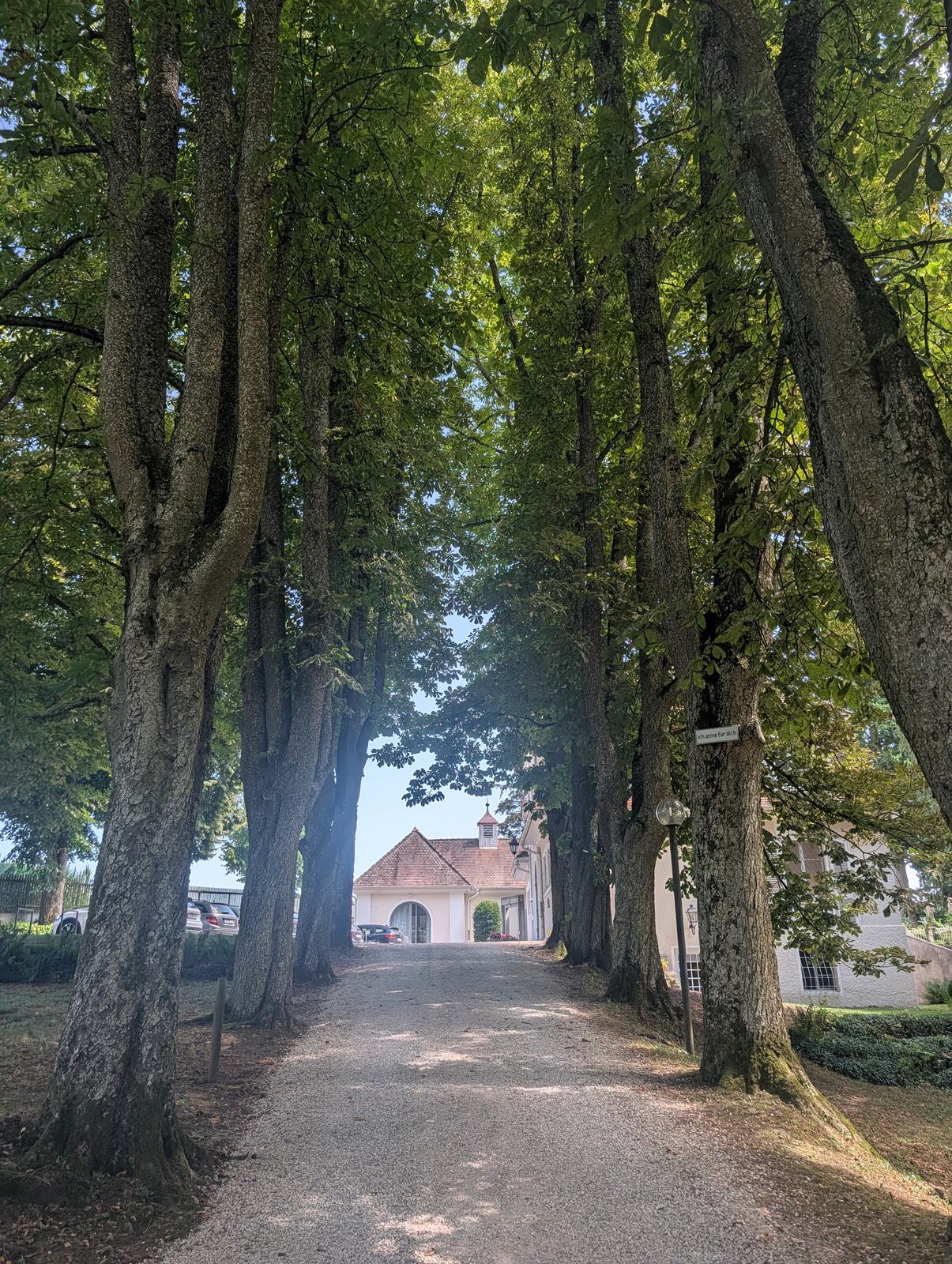 Baumallee mit Blick auf die Villa Rot