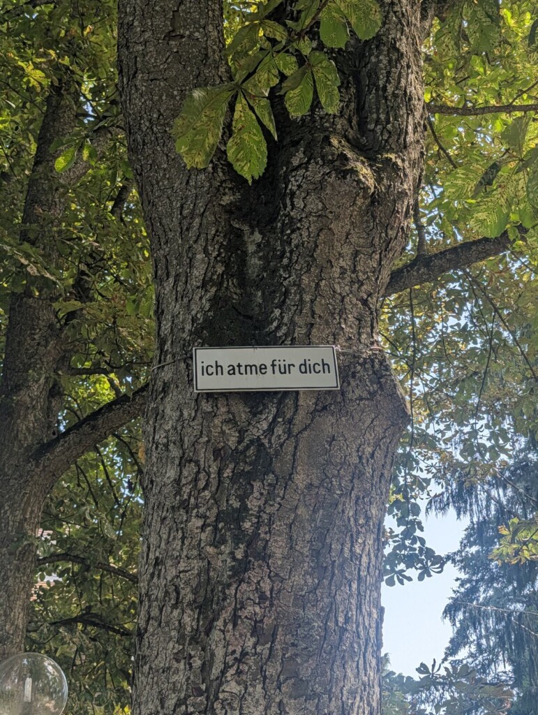 Schild am Baum im Park der Villa Rot