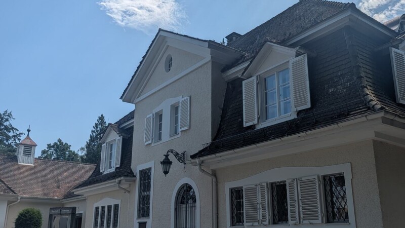 Museum Villa Rot in Burgrieden: Kunst, alter Park und hausgemachter Kuchen