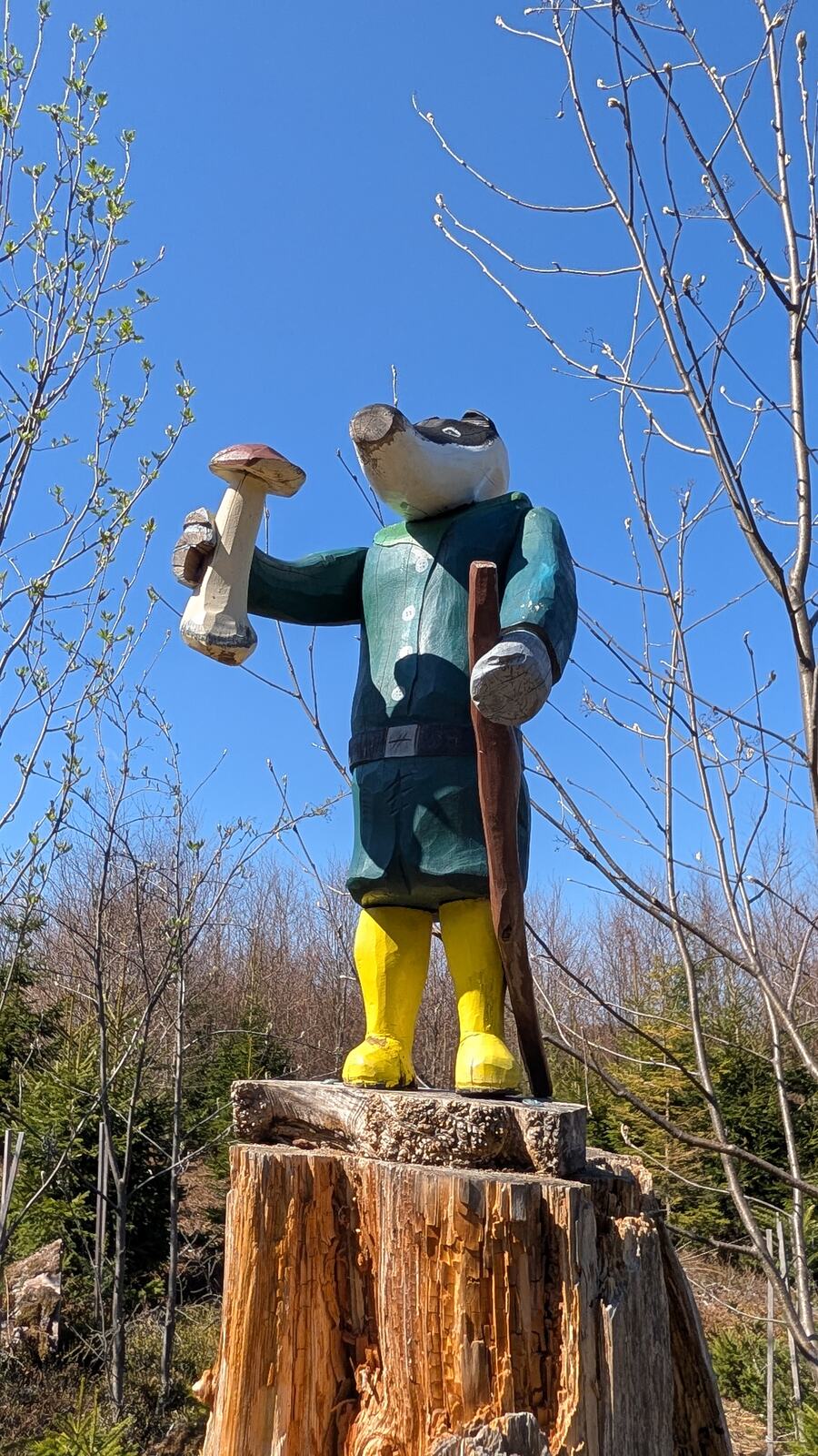 Geschnitzte Froschfigur auf einem Baumstumpf