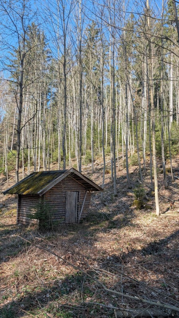 Waldhuette am Walderlebnispfad