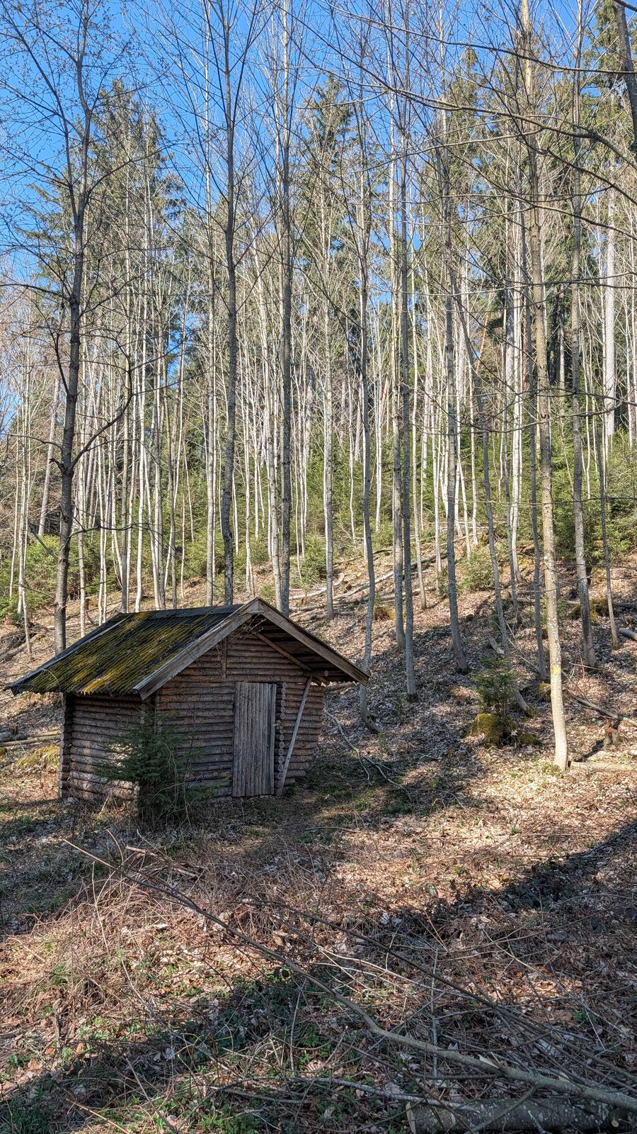 Waldhuette am Walderlebnispfad