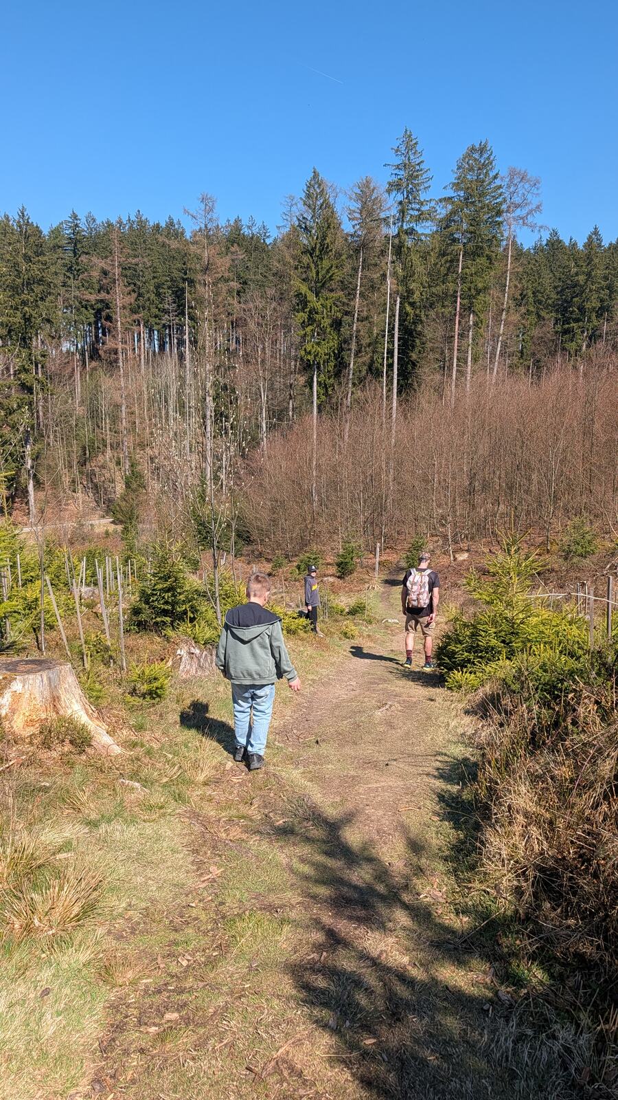 Kind laeuft den Waldweg entlang