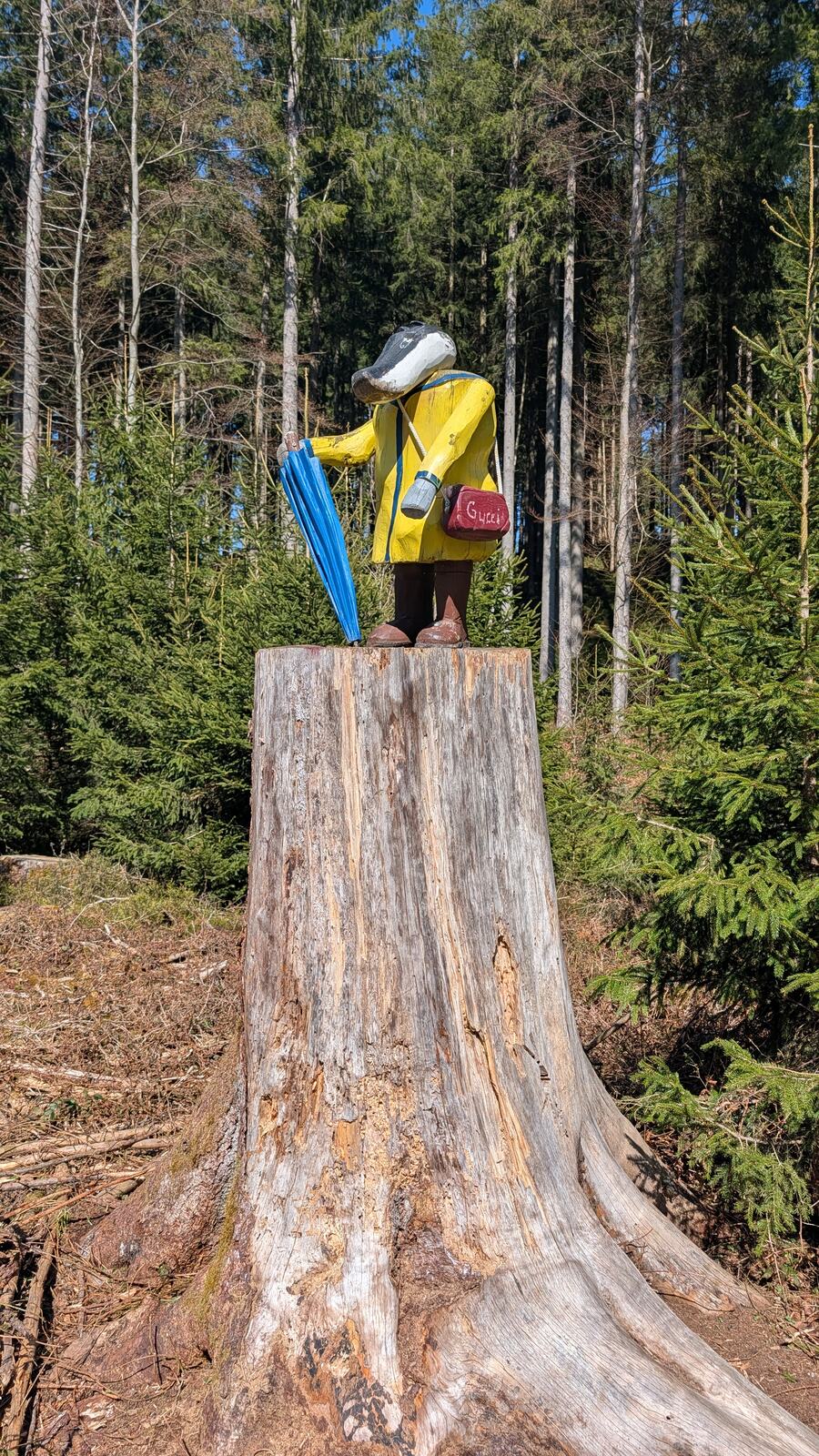Kind auf einem grossen Baumstumpf
