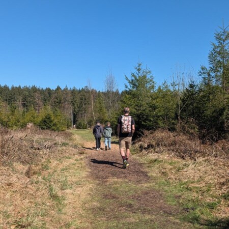 Walderlebnispfad Bad Grönenbach: 2,8 km mit Meister Grimmbart — Murmeln mitbringen