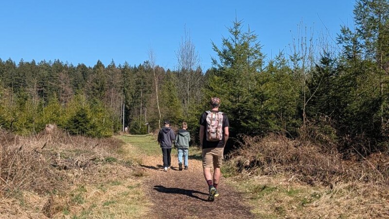 Walderlebnispfad Bad Grönenbach: 2,8 km mit Meister Grimmbart — Murmeln mitbringen