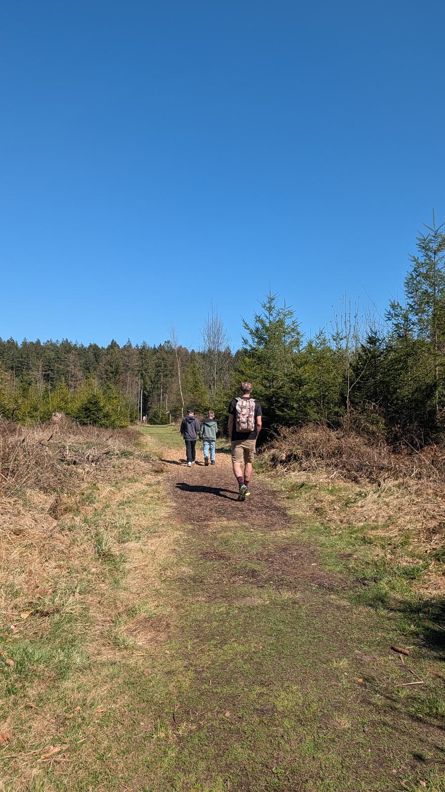 Walderlebnispfad Bad Grönenbach: 2,8 km mit Meister Grimmbart — Murmeln mitbringen