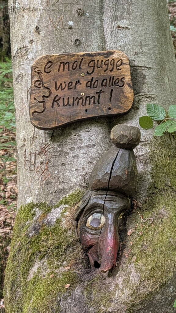 Schild am Baum mit pfaelzischer Mundart am Waldgeisterweg