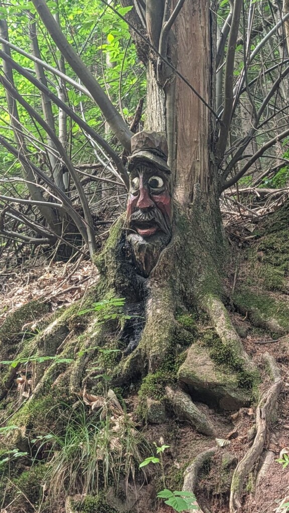 Gesicht im Wurzelwerk eines Baumes