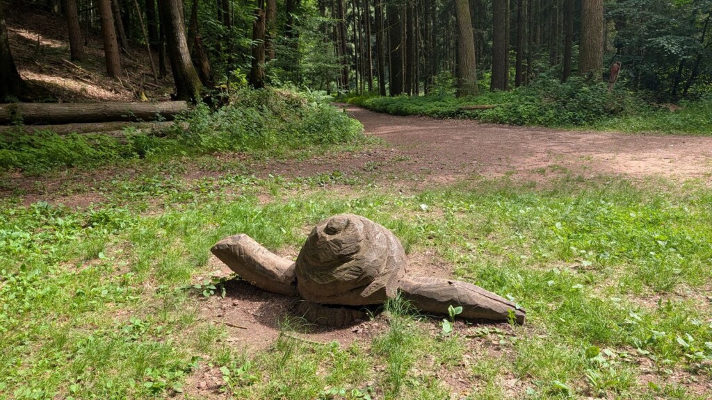 Geschnitzte Schildkroete auf der Wiese