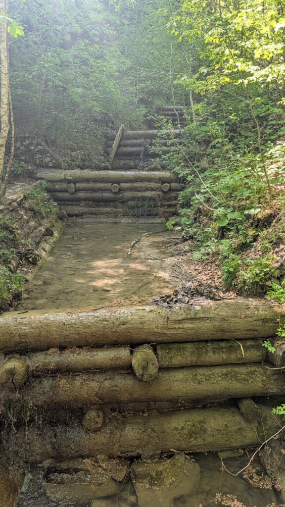 Holztreppe im Wald am Wasserfallweg