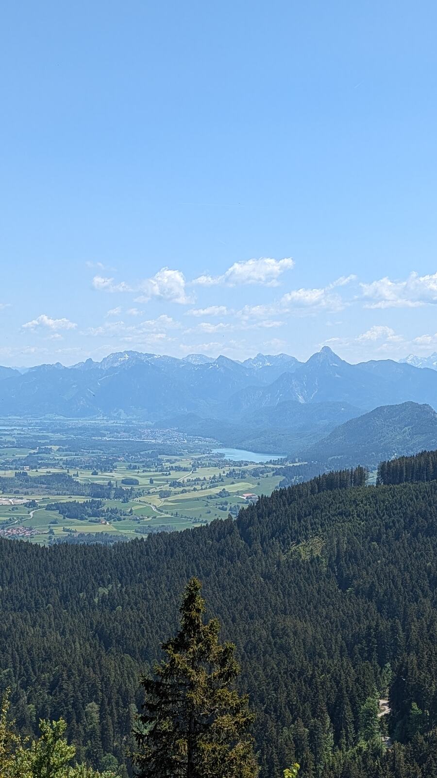 Blick ins Tal mit See vom Alpspitz