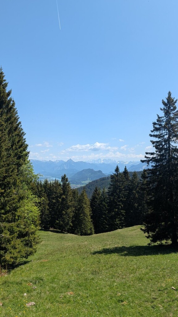 Bergwiese mit Alpenblick bei Nesselwang