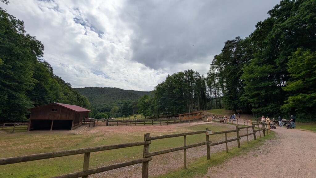 Wanderweg mit Holzzaun und Huette im Wildpark Silz