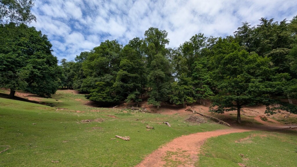 Weg durch den Wildpark Silz