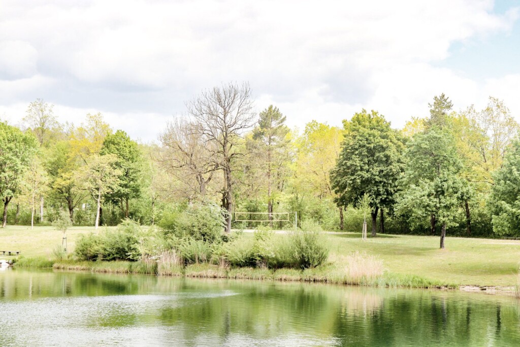 Wiese mit Bäumen am Ufer des Badesees Pfuhl