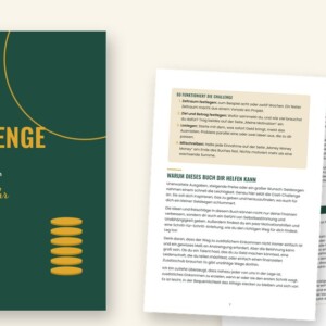 eBook Cash Challenge: Über 50 Ideen für dein Extra-Einkommen, das ganze Jahr