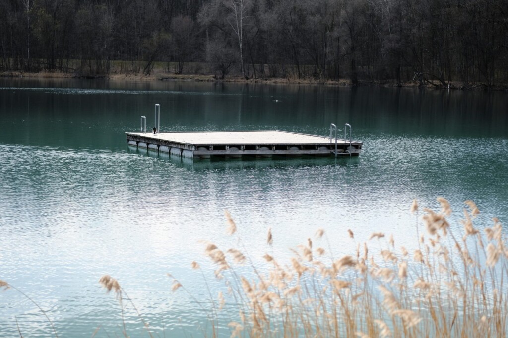 Holzinsel mit Steg im Waldsee Senden