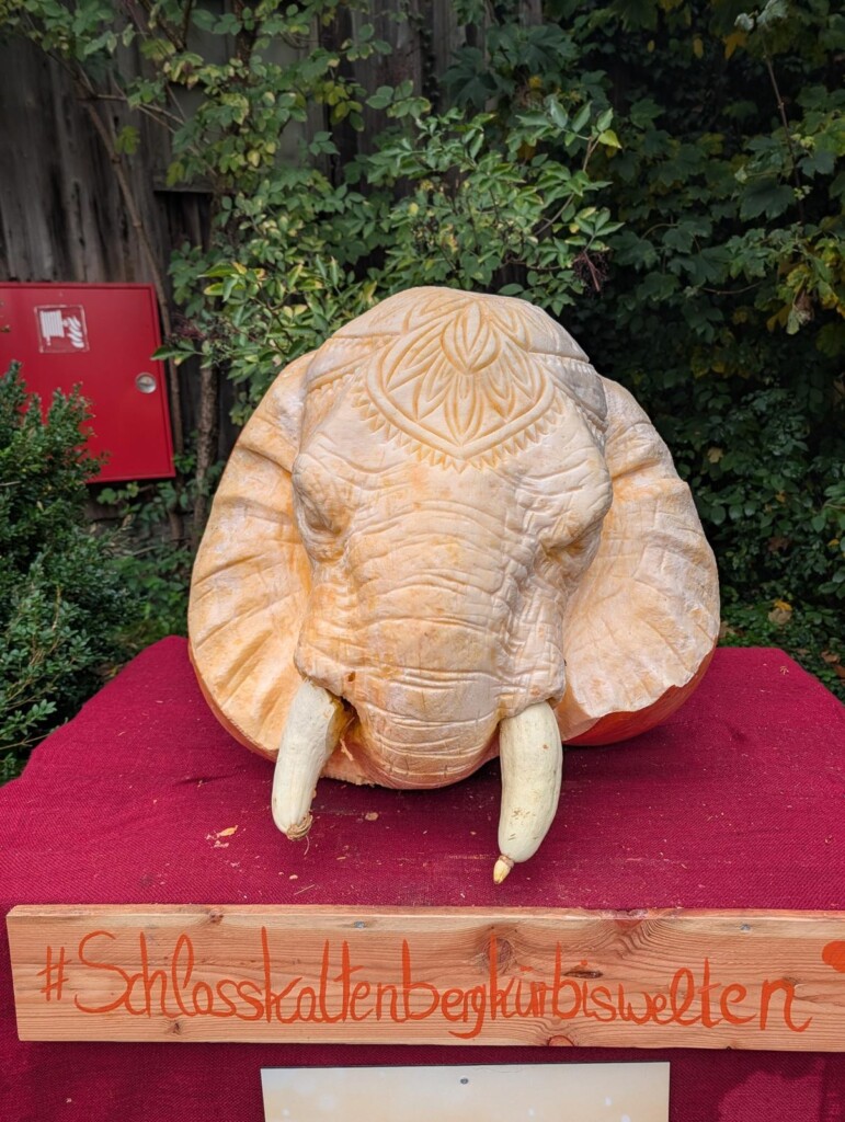 Geschnitzter Elefantenkopf aus einem Riesenkürbis