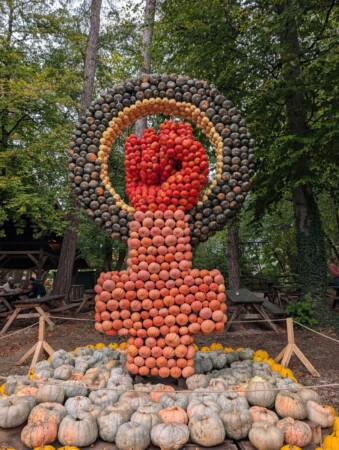 Kürbisskulptur erhobene Faust im Kreis