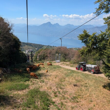 Monte Baldo ohne Malcesine: Mit Korb und Sessellift von Prada nach Costabella