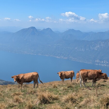 Schockverliebt in den Monte Baldo: Mit Stehkorb und Sessellift von Prada nach Costabella