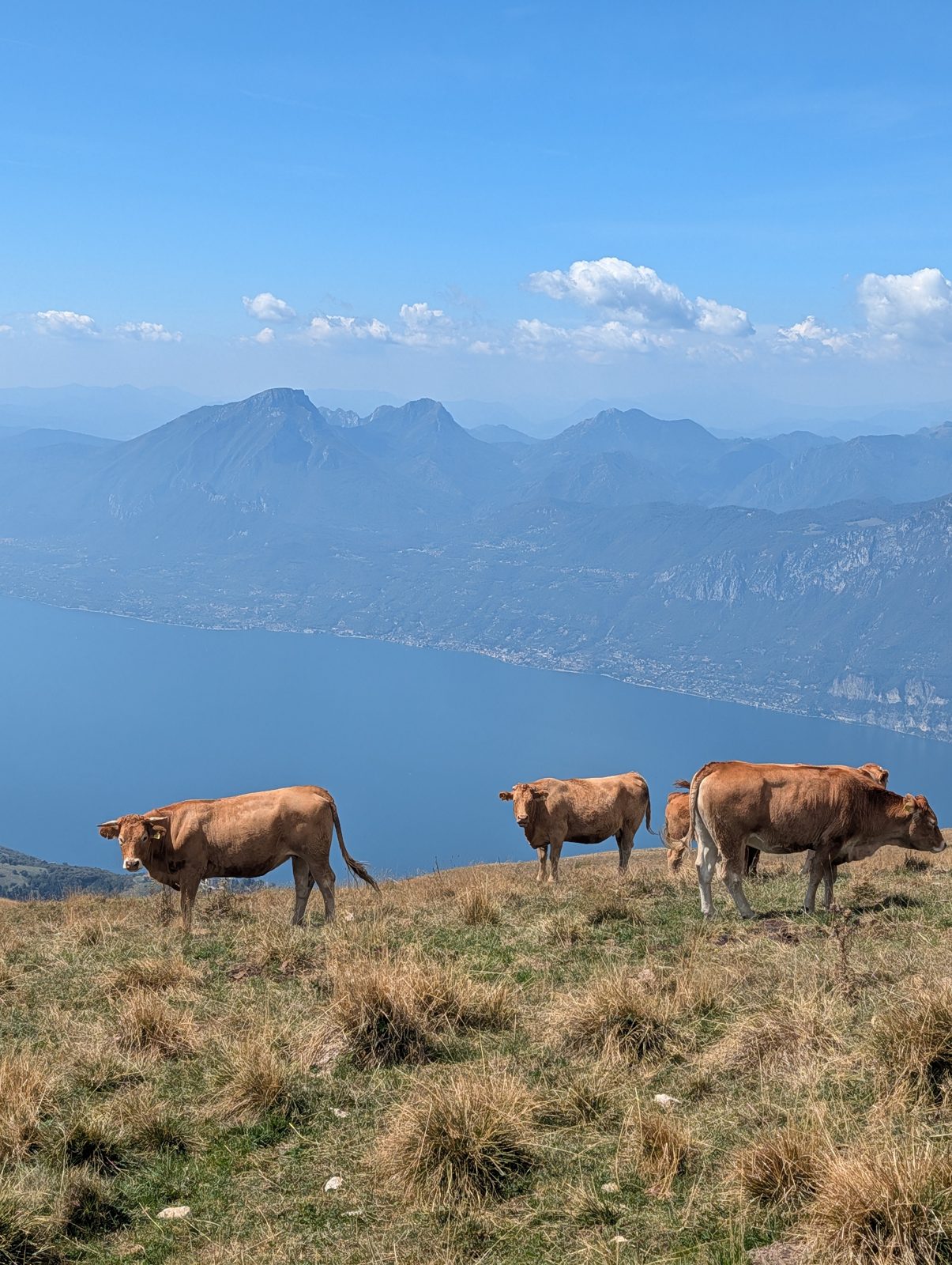 Schockverliebt in den Monte Baldo: Mit Stehkorb und Sessellift von Prada nach Costabella