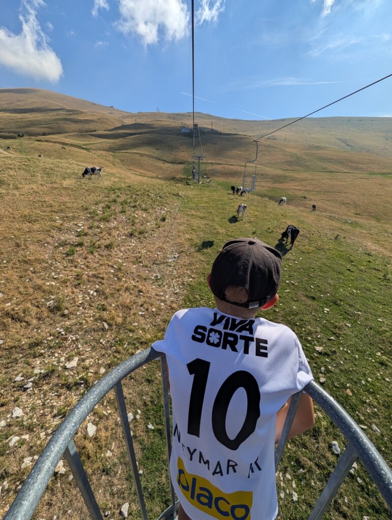 Kind im offenen Stehkorb der Seilbahn Prada–Costabella, unten grasende Kühe