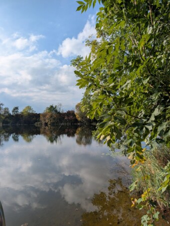 Kleiner Badesee direkt am Campingplatz Gutshof Donauried